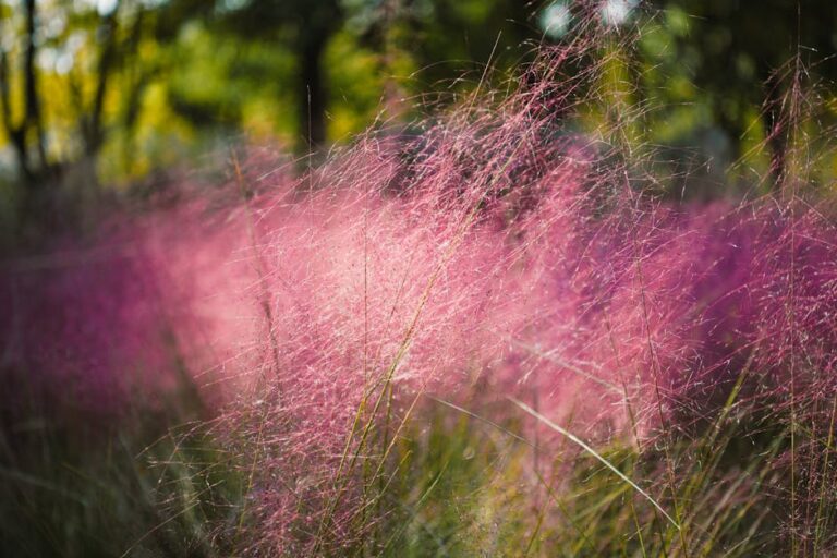 Photo by Suki Lee on Pexels